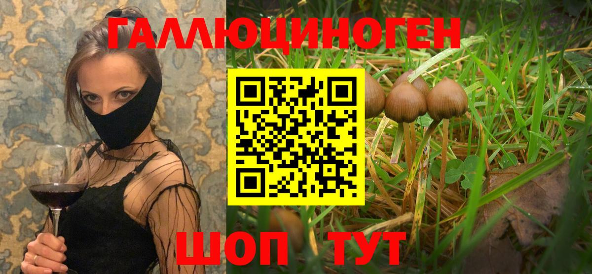 Псилоцибиновые грибы Cubensis  Галлюциногенные грибы Psilocybine cubensis  Вход с VPN  закладка  Кстово 